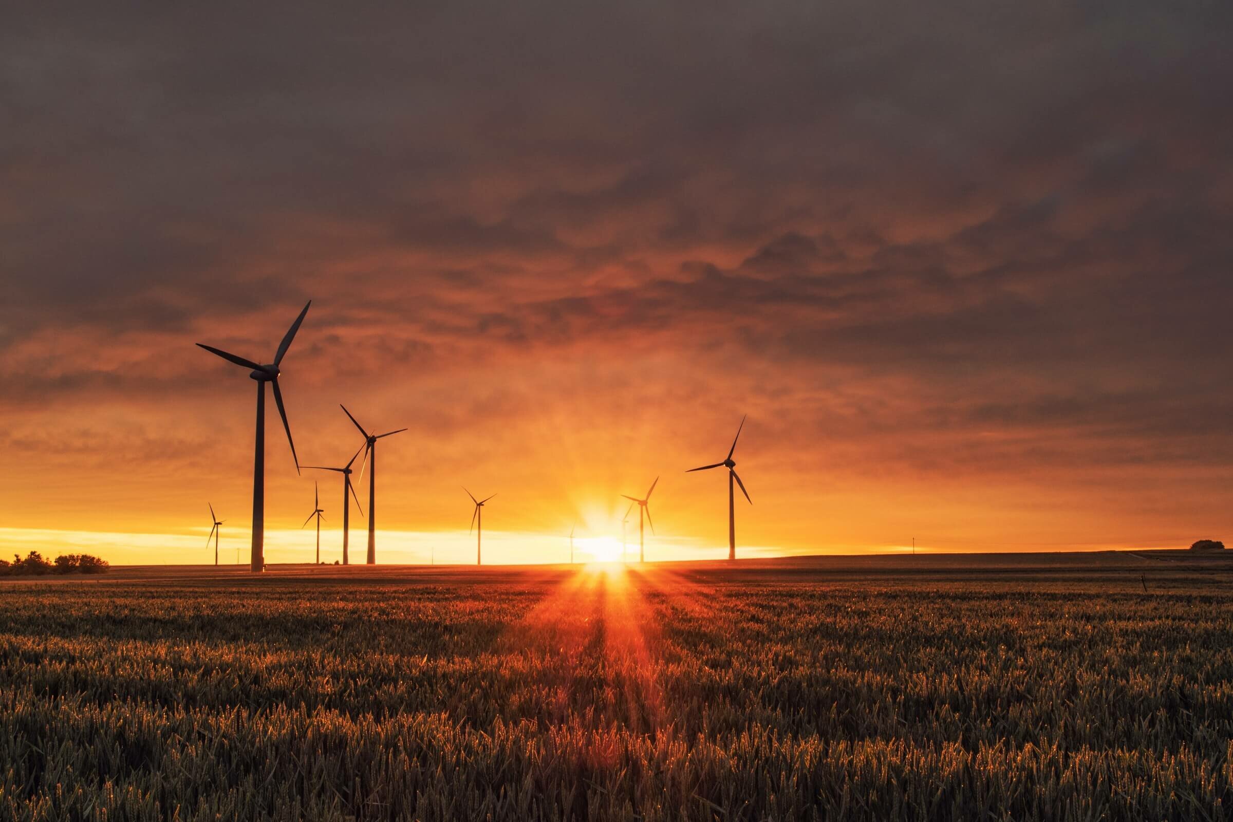 Mehrere Windräder stehen auf Feldern im Sonnenuntergang. Die Sonne ist nur nach schwach am Horizont zu sehen. Links und rechts sind kleine Baumgruppen erkenbar. Eine sich bildende Wolkendecke wird am Horizont von den Strahlen der untergehenden Sonne durchdrungen.